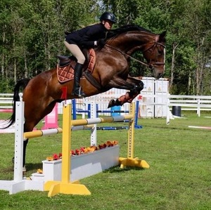 Fundraising Page: Ginger Nilsson